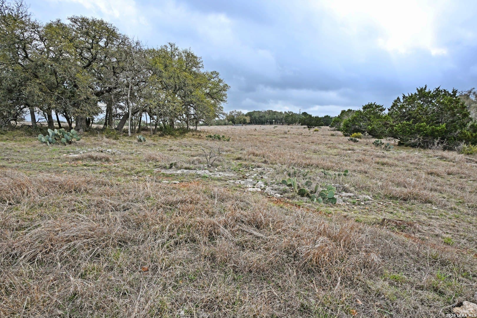 0 acres in Comal County - photo 23
