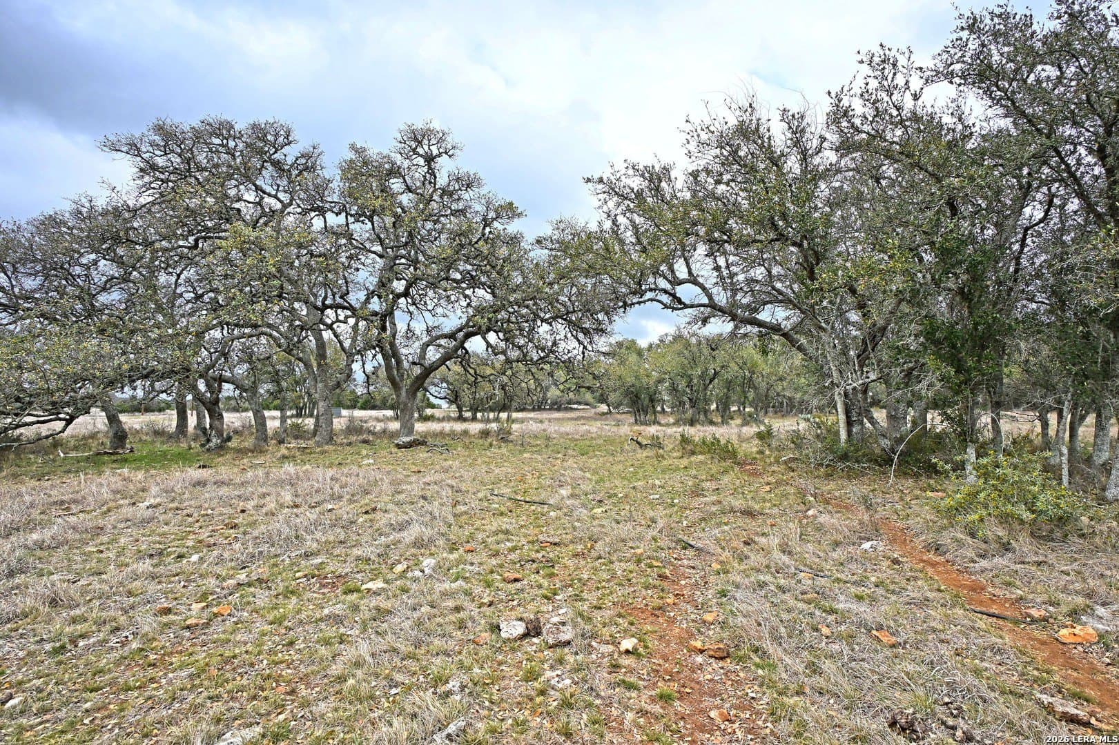 0 acres in Comal County - photo 29