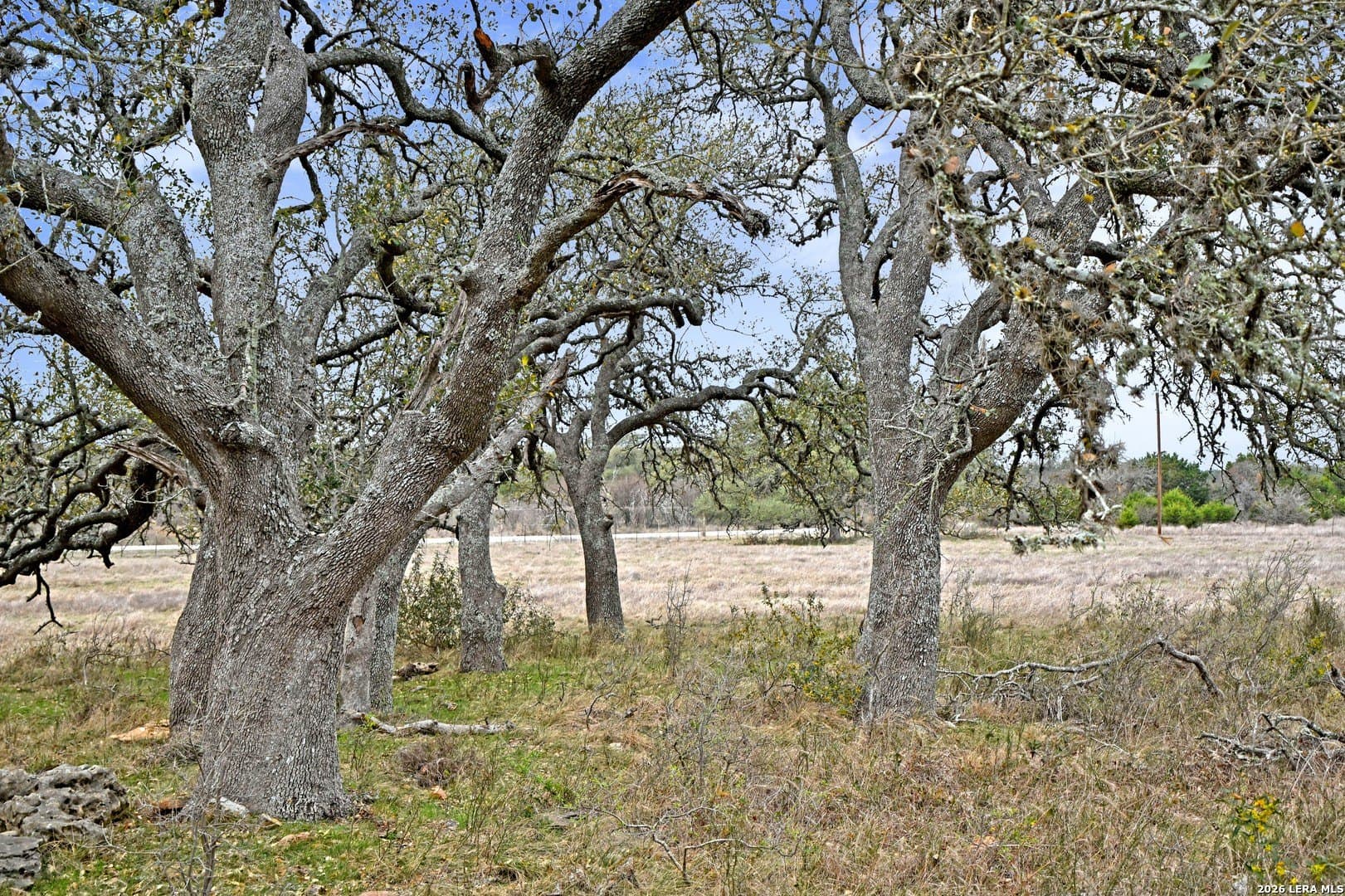 0 acres in Comal County - photo 15