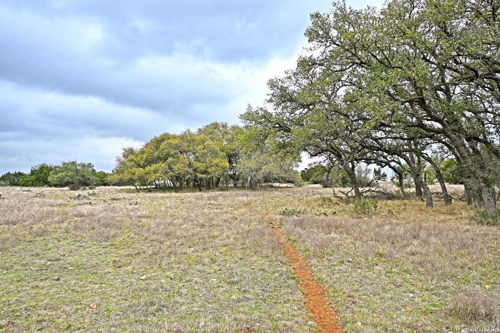 0 acres in Comal County - photo 7