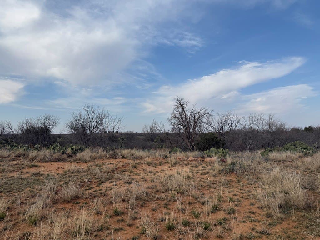 28.11 acres in Mitchell County - photo 6
