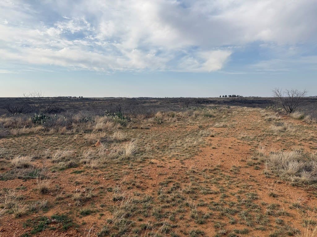 28.11 acres in Mitchell County - photo 4