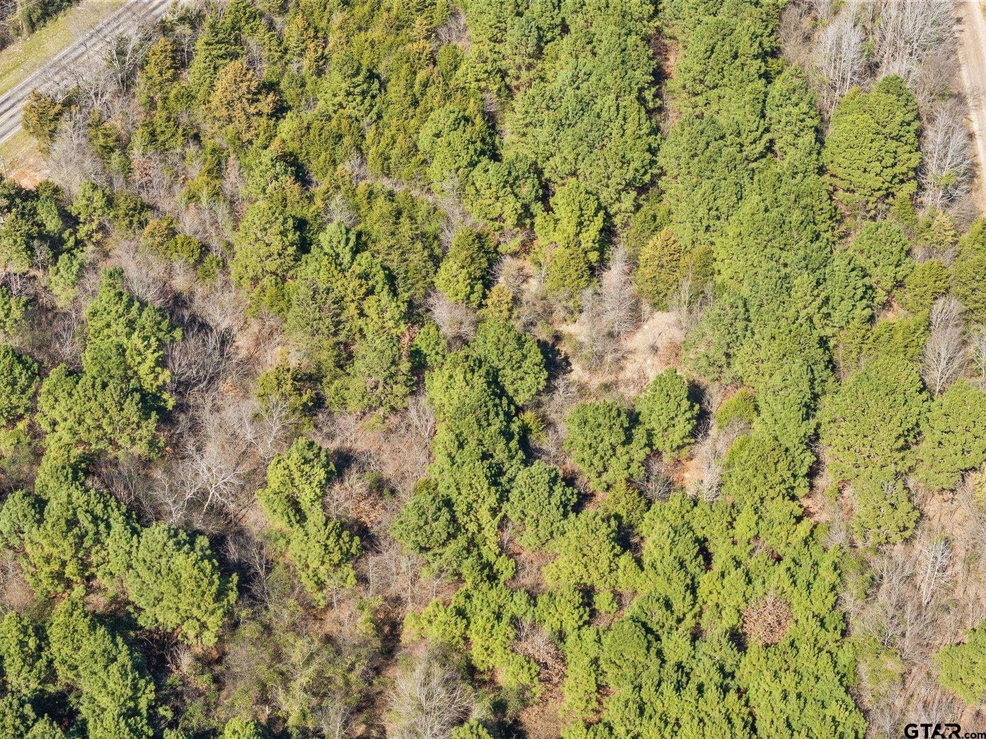2.24 acres in Camp County - photo 6