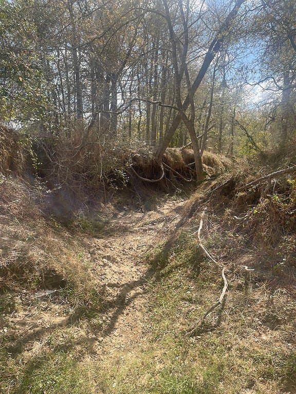 TBD County Road 456