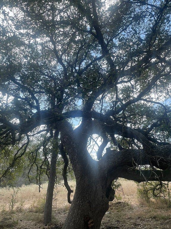 29 acres in Fayette County - photo 4