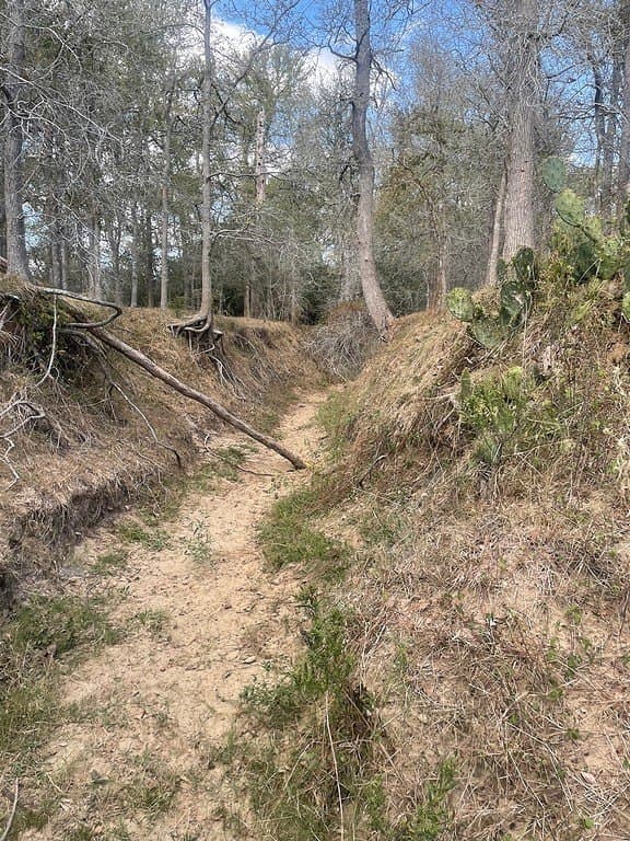 29 acres in Fayette County - photo 6