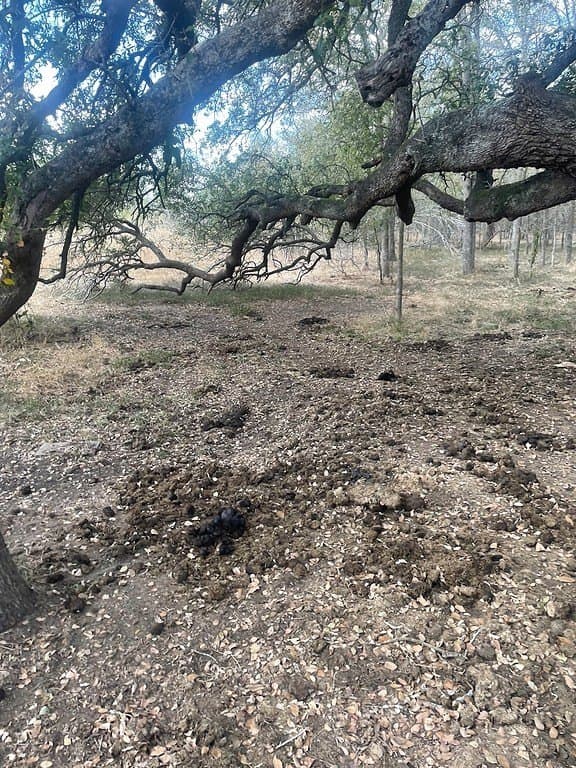 29 acres in Fayette County - photo 3