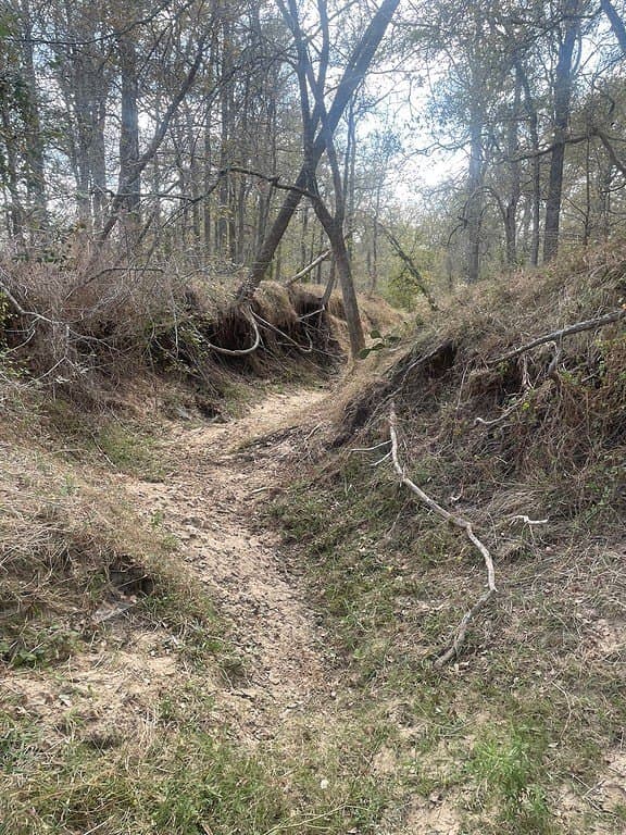 29 acres in Fayette County - photo 5