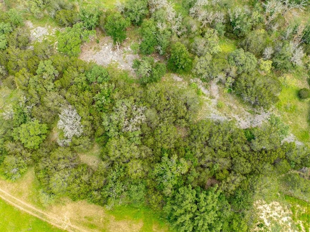 10.01 acres in Coryell County - photo 24