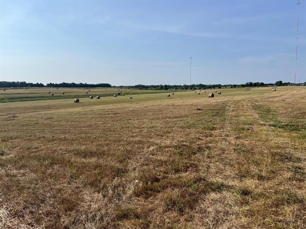 51.24 acres in Fannin County - photo 10