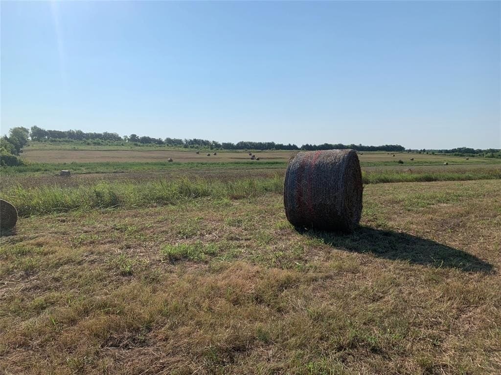 51.24 acres in Fannin County - photo 8