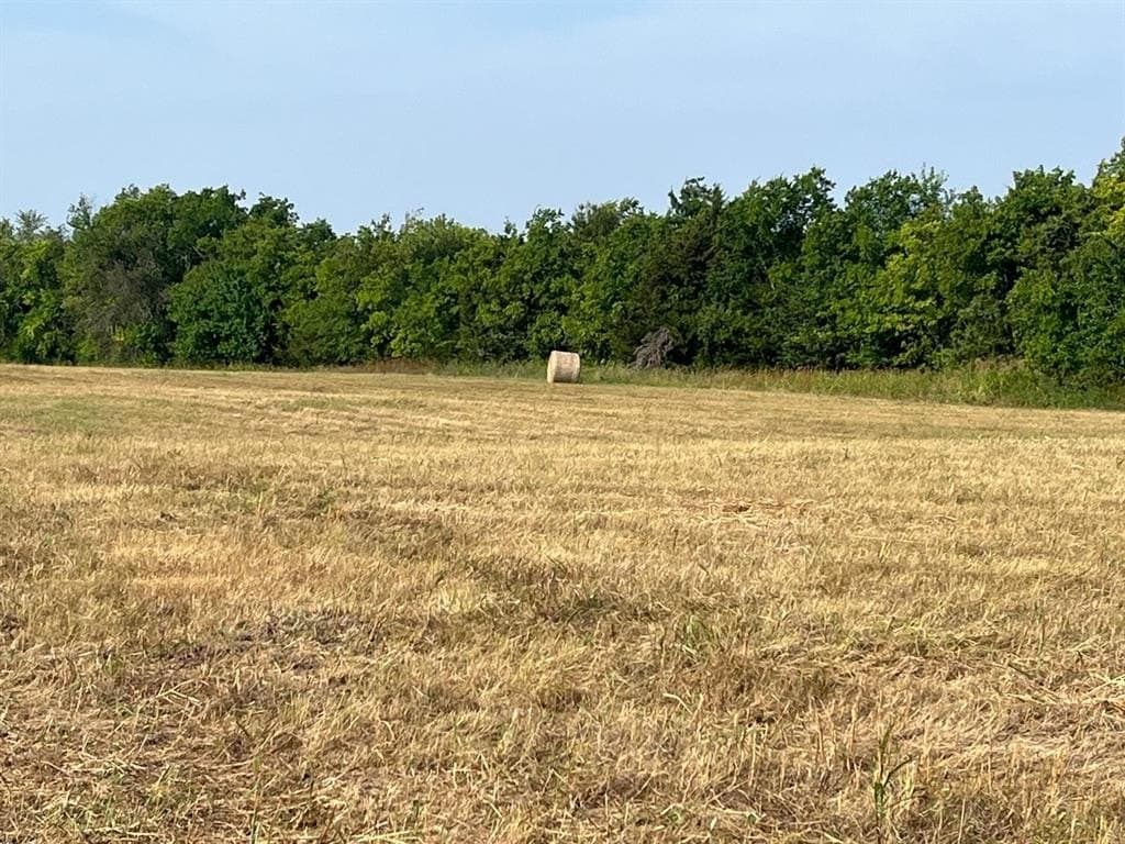 51.24 acres in Fannin County - photo 12