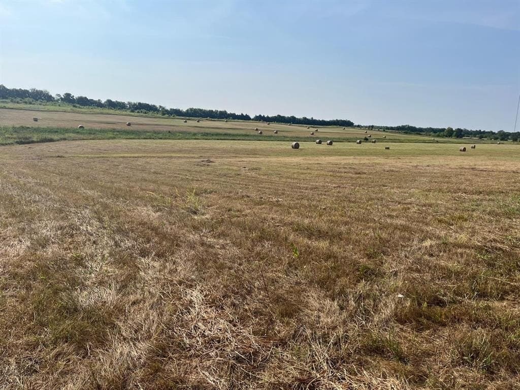 51.24 acres in Fannin County - photo 9