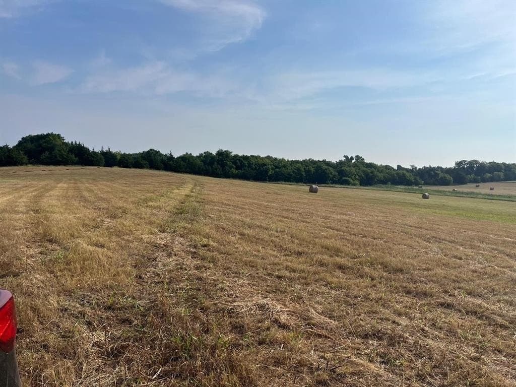 51.24 acres in Fannin County - photo 11