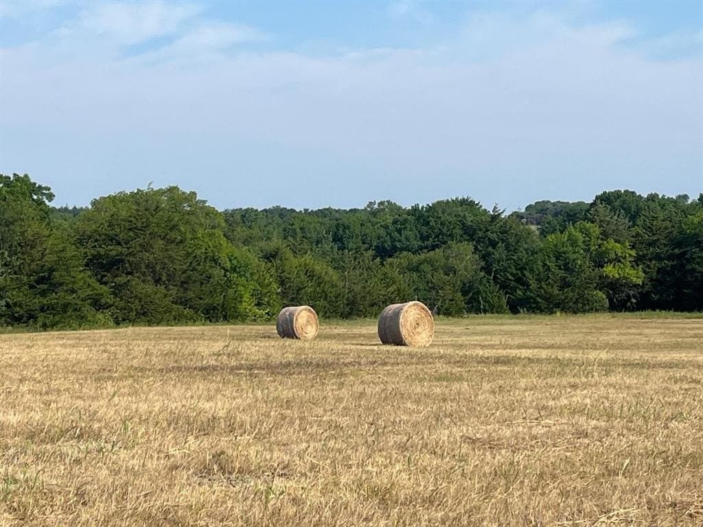 51.24 acres in Fannin County - photo 15
