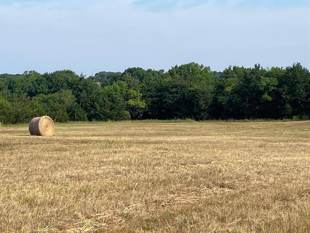 51.24 acres in Fannin County - photo 14