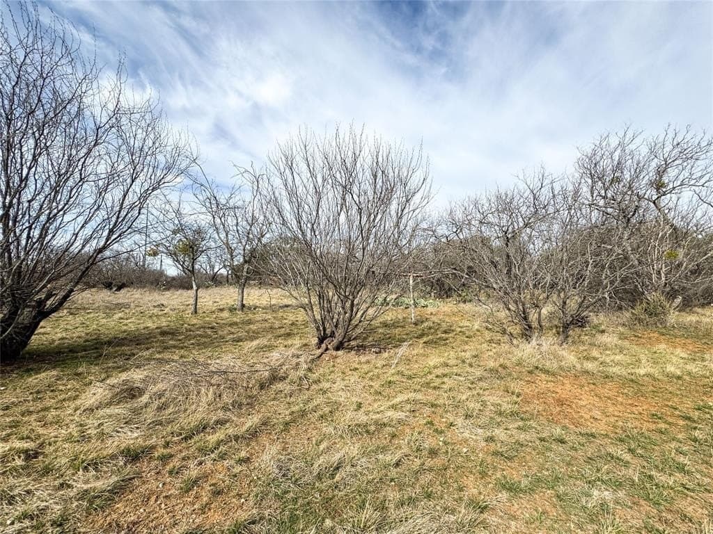 1.45 acres in Eastland County - photo 14