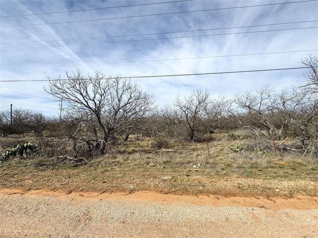 1.45 acres in Eastland County - photo 12