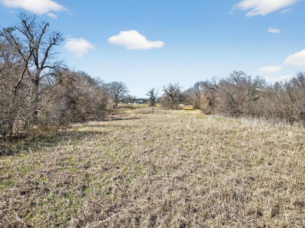6 acres in Kaufman County - photo 8