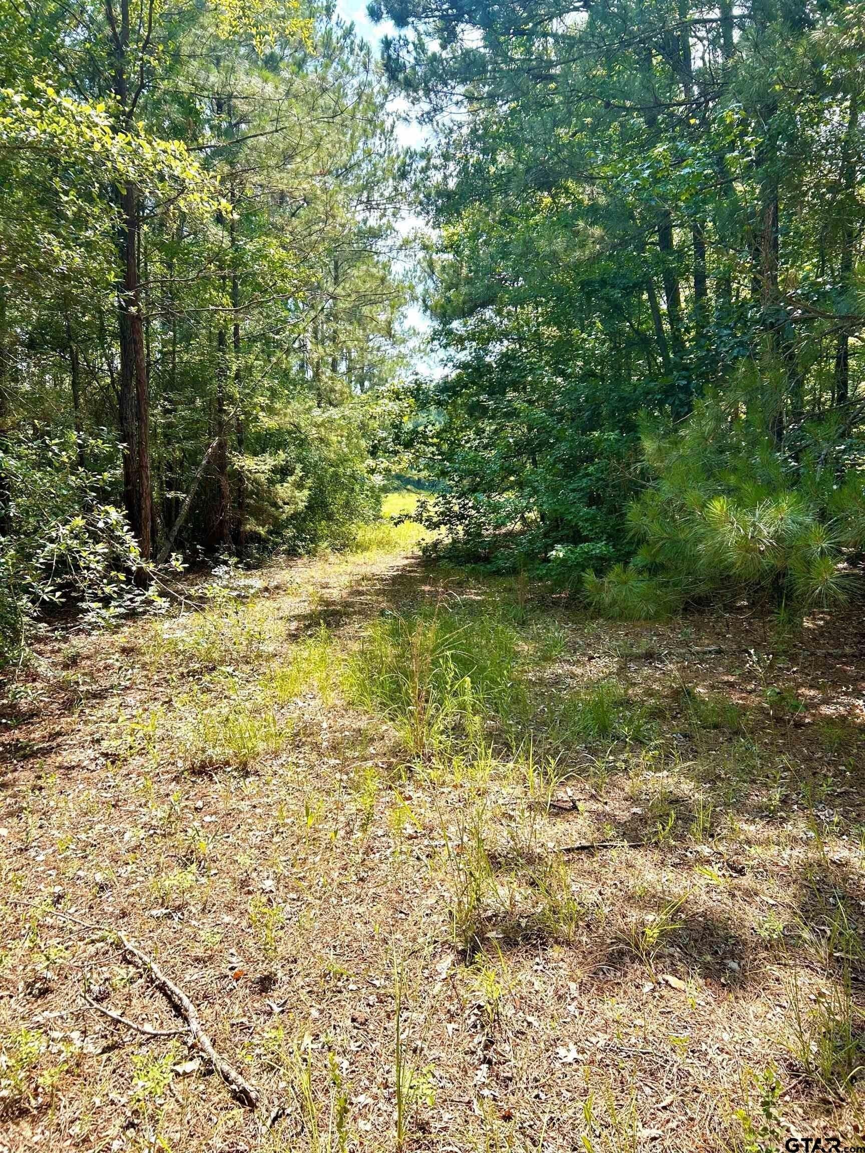 11.4 acres in Harrison County - photo 2