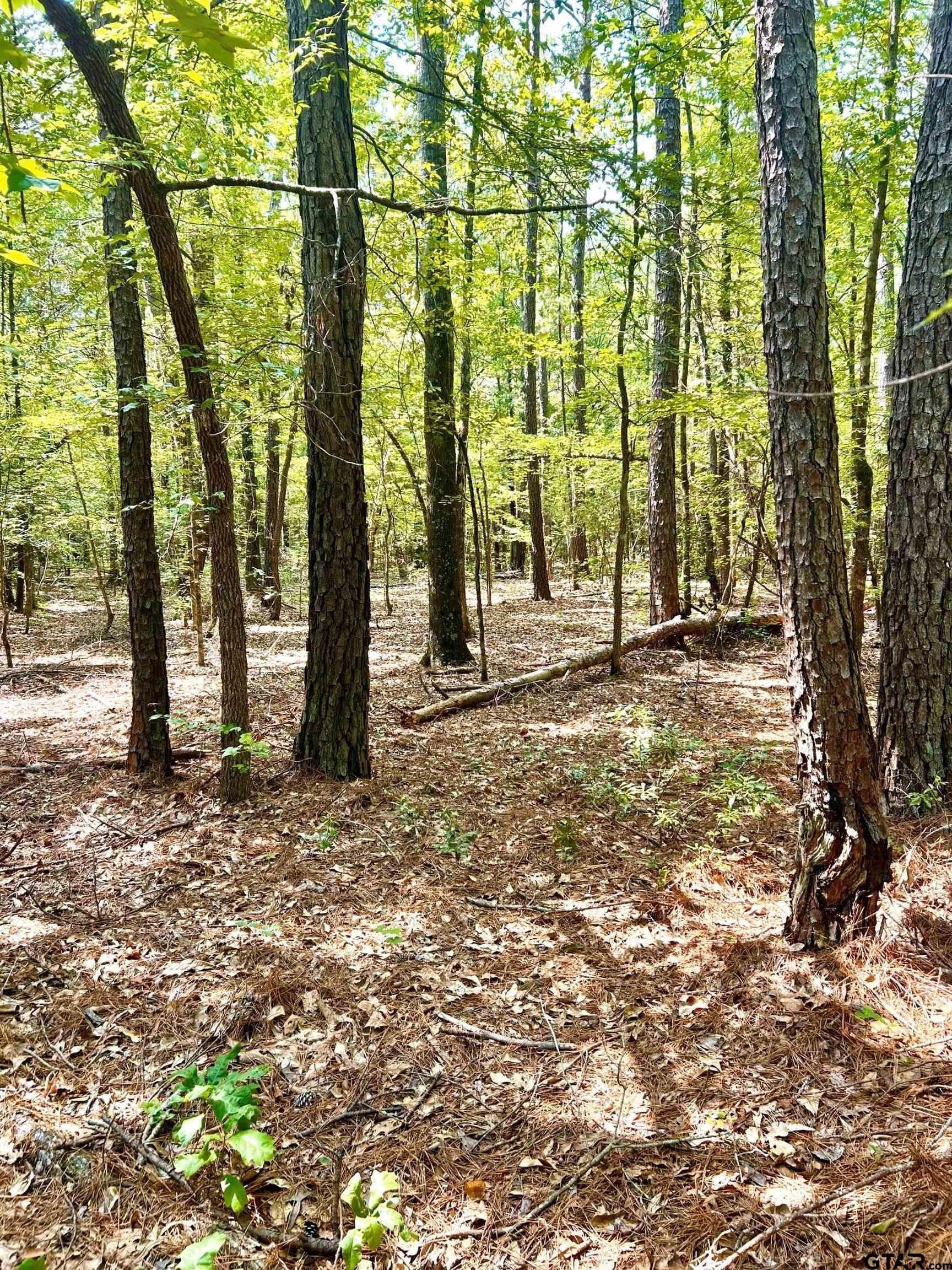 11.4 acres in Harrison County - photo 7