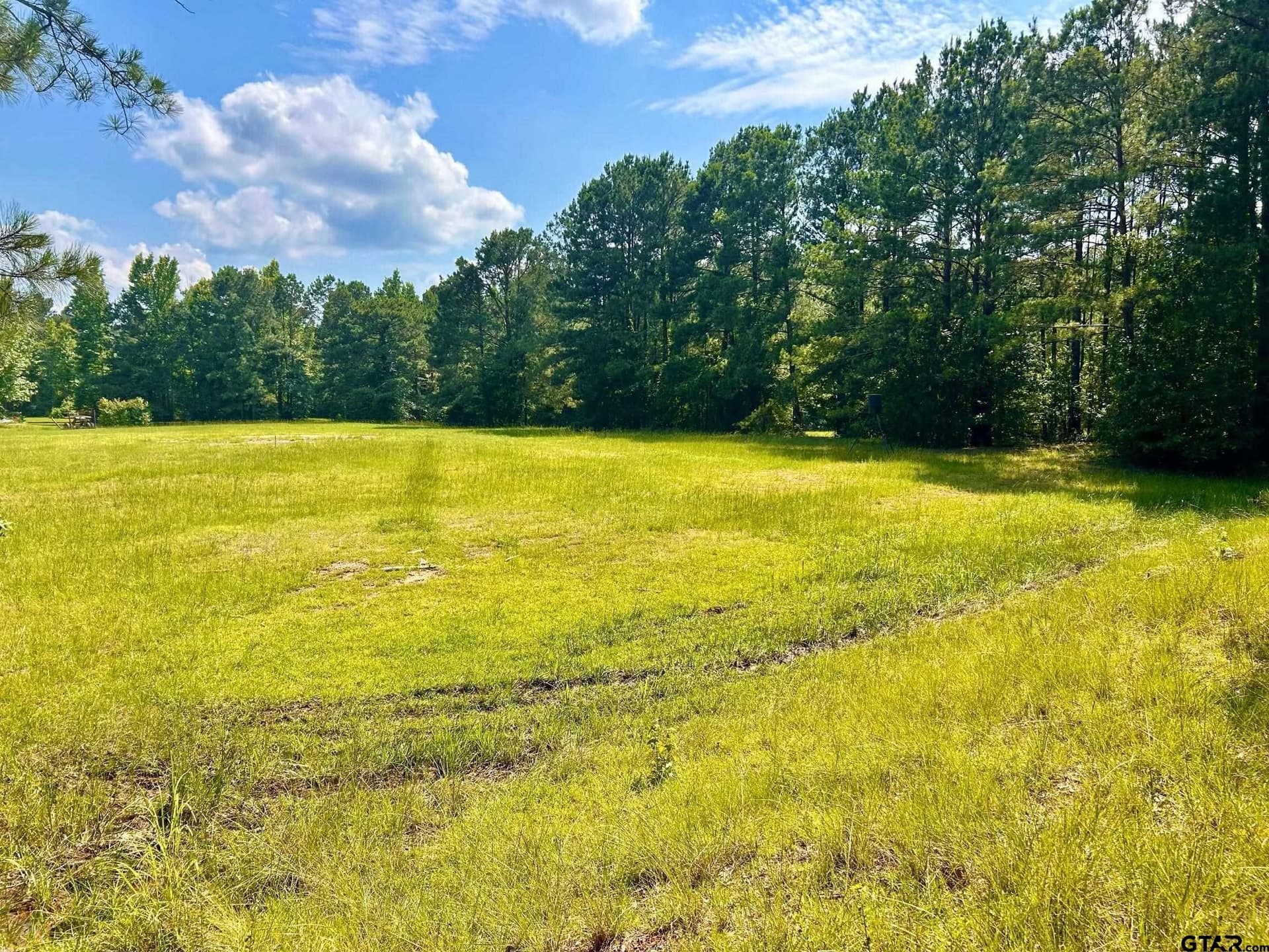 TBD George Ives Road