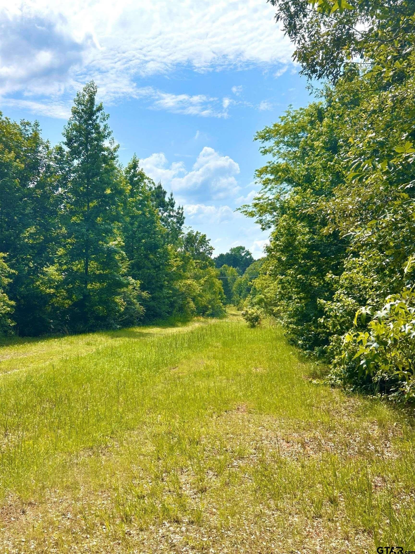 11.4 acres in Harrison County - photo 10