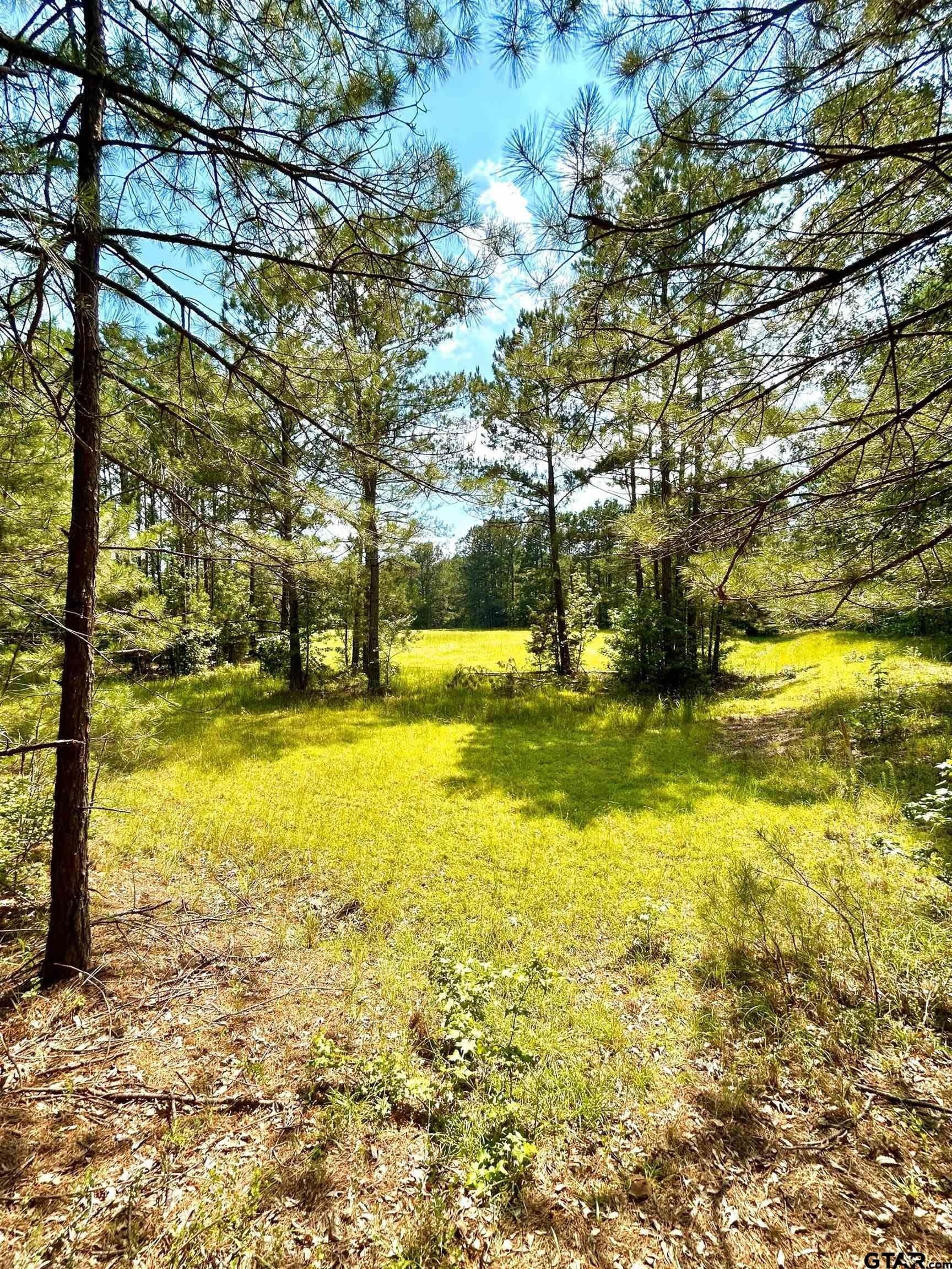 11.4 acres in Harrison County - photo 8