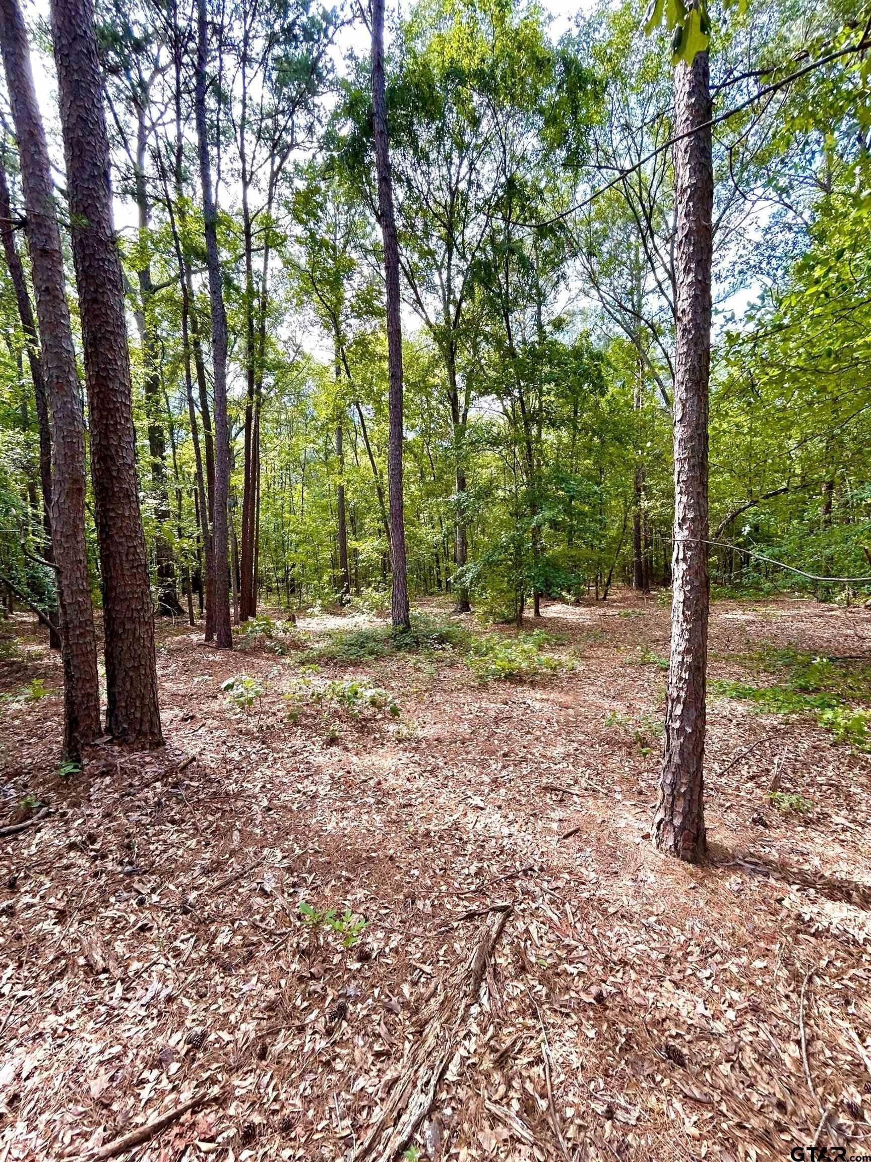11.4 acres in Harrison County - photo 6