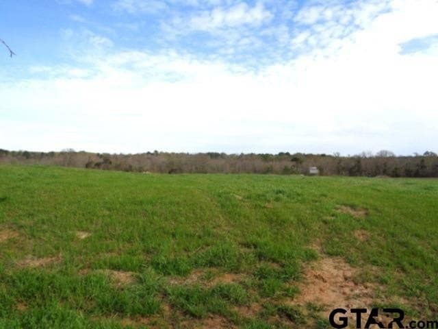 80 acres in Upshur County - photo 13