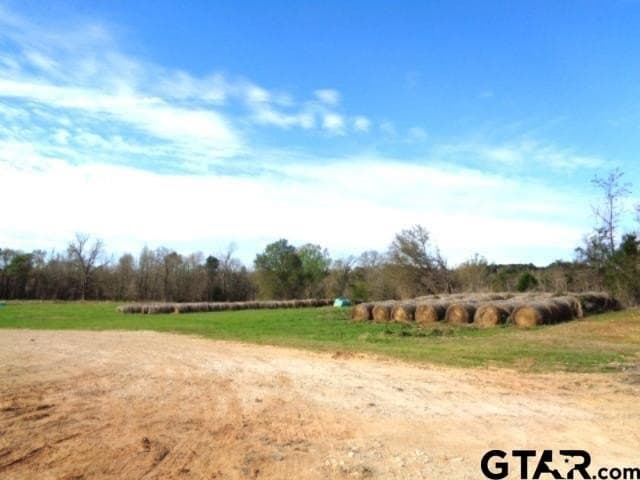 80 acres in Upshur County - photo 11