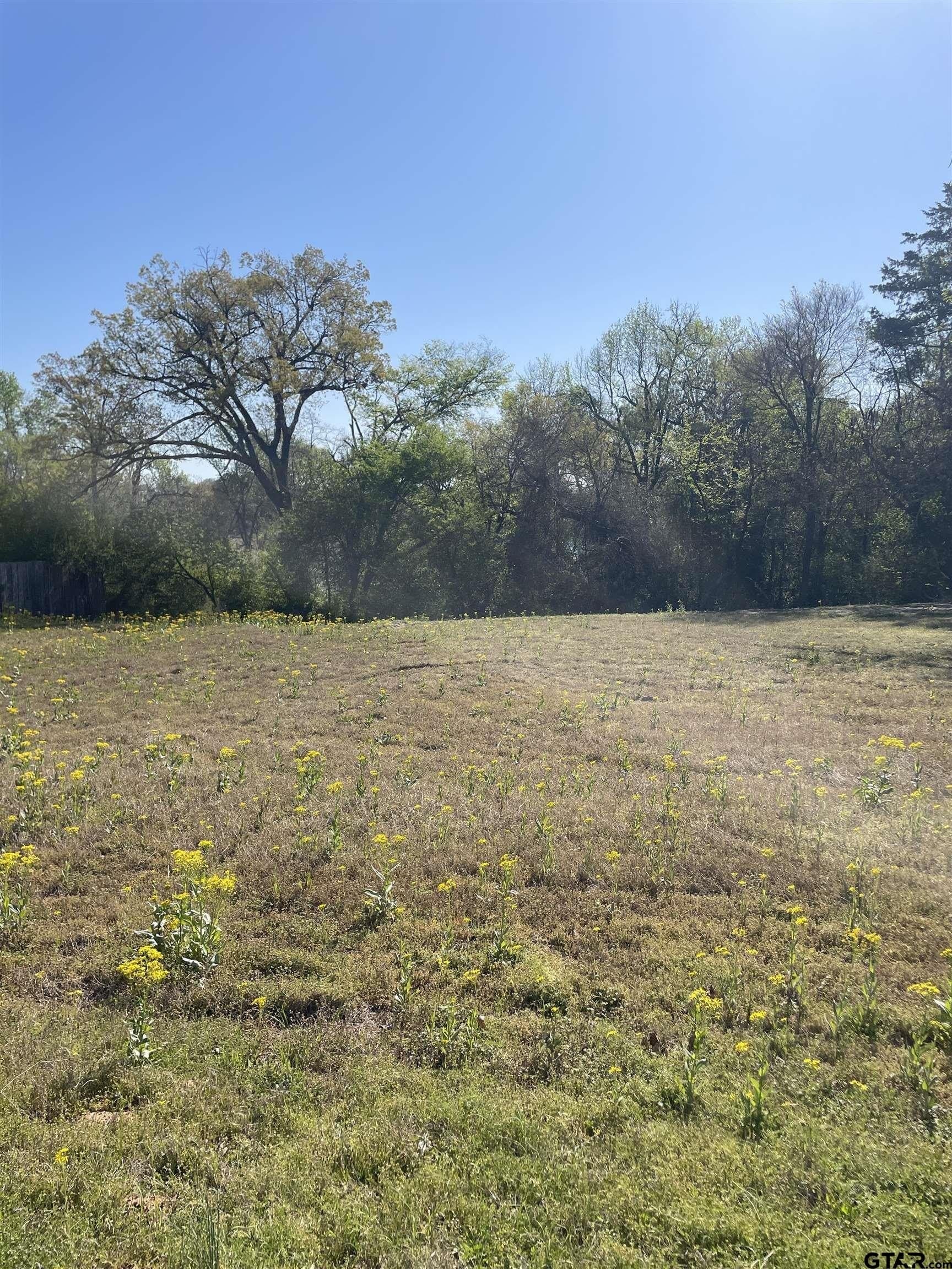0.47 acres in Franklin County - photo 3