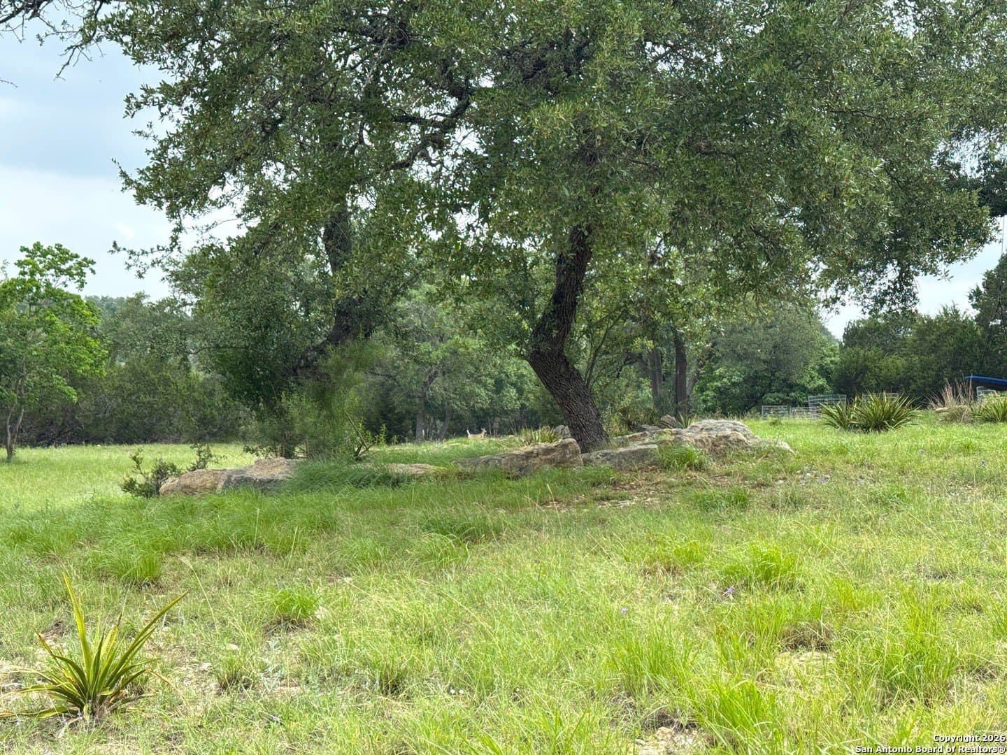 1.2 acres in Comal County - photo 13