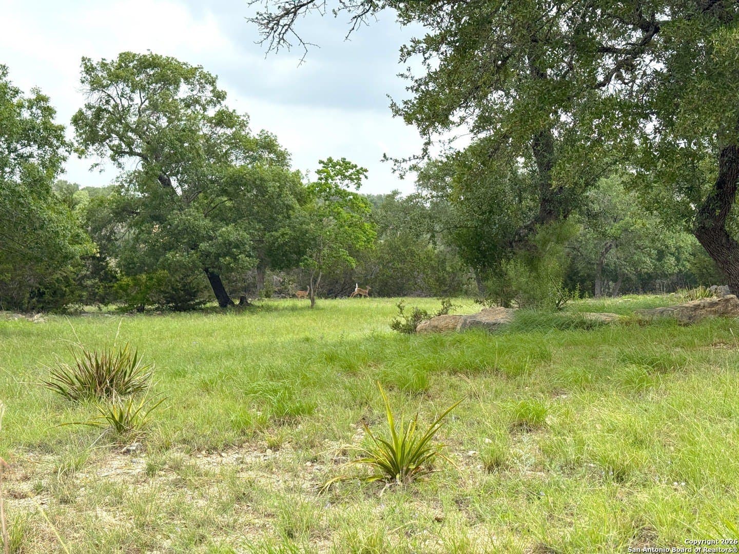 1.2 acres in Comal County - photo 12
