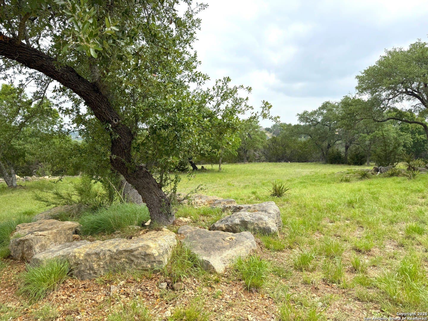 1.2 acres in Comal County - photo 15