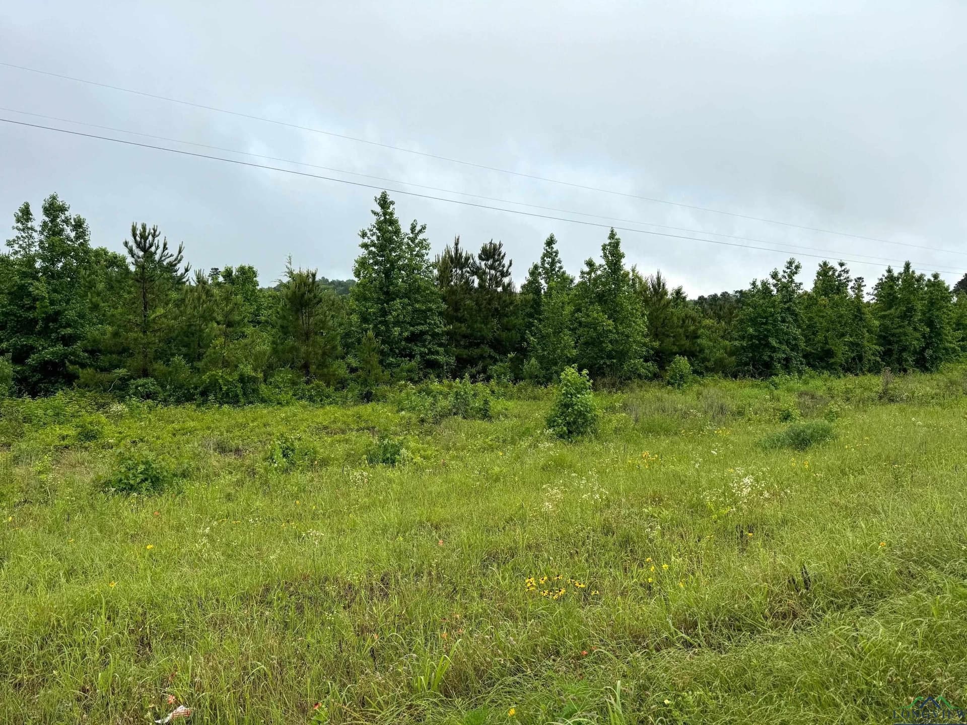 14.6 acres in Cherokee County - photo 12
