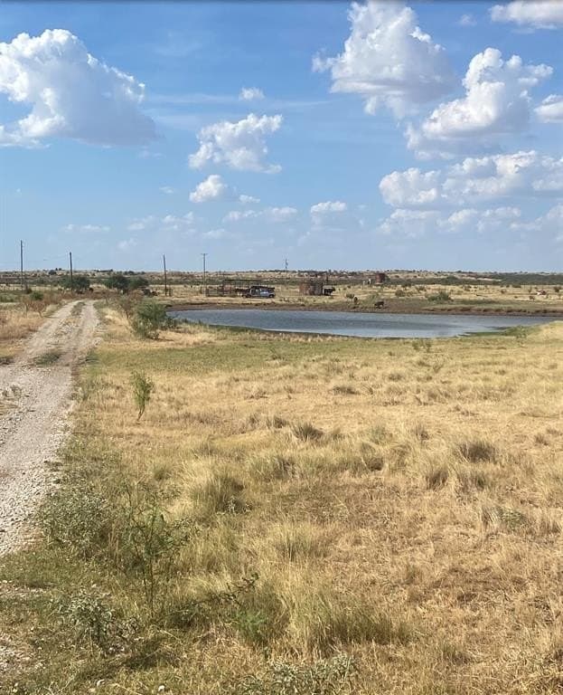 295 acres in Archer County - photo 5