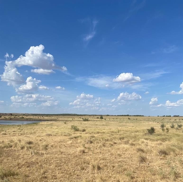 295 acres in Archer County - photo 3