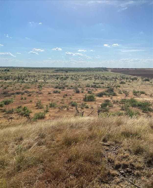 295 acres in Archer County - photo 11
