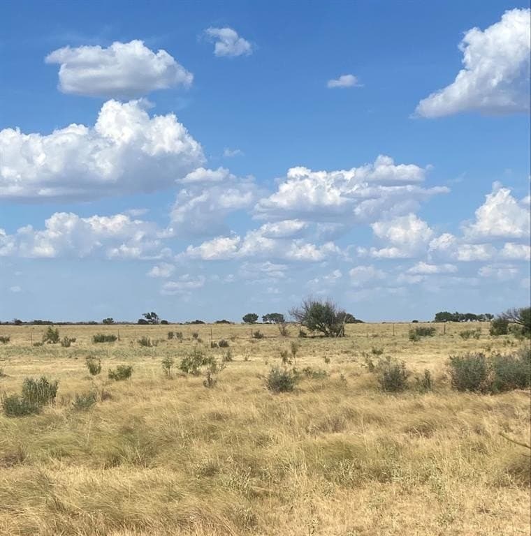 295 acres in Archer County - photo 2