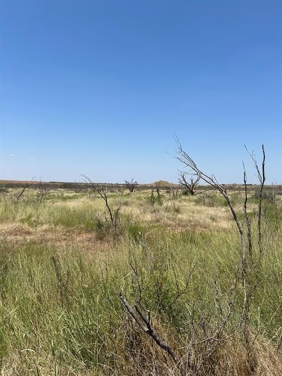 295 acres in Archer County - photo 20