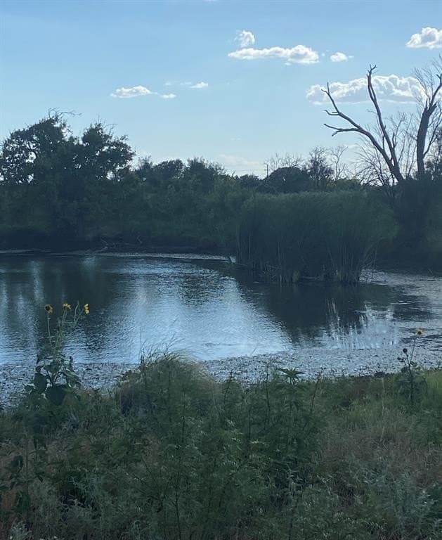 295 acres in Archer County - photo 17