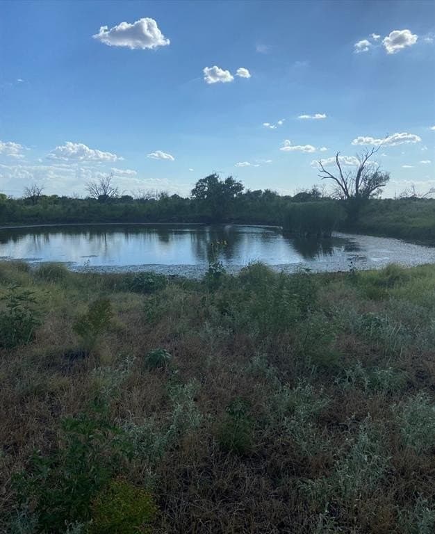 295 acres in Archer County - photo 15