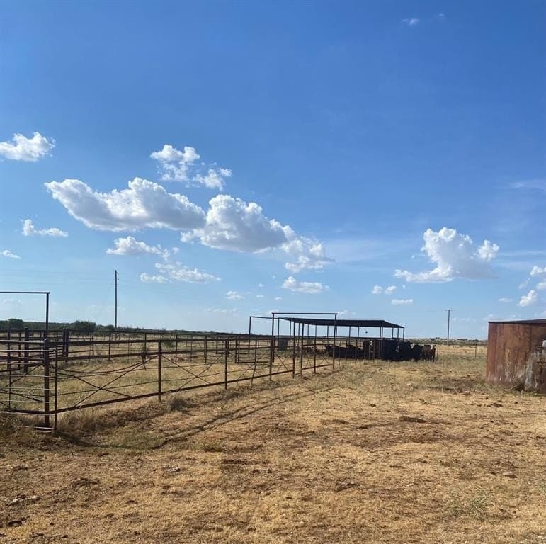 295 acres in Archer County - photo 4