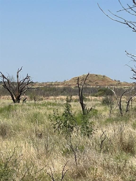 295 acres in Archer County - photo 19