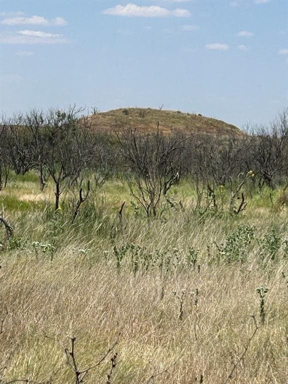 295 acres in Archer County - photo 18