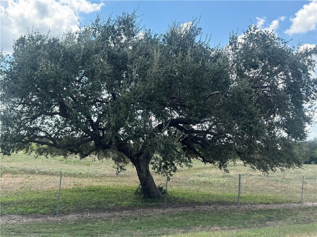 36.73 acres in Bee County - photo 4