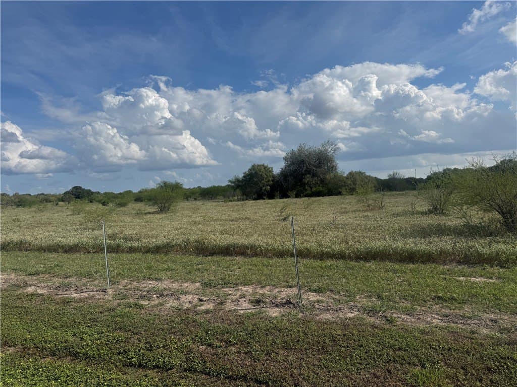 36.73 acres in Bee County - photo 6