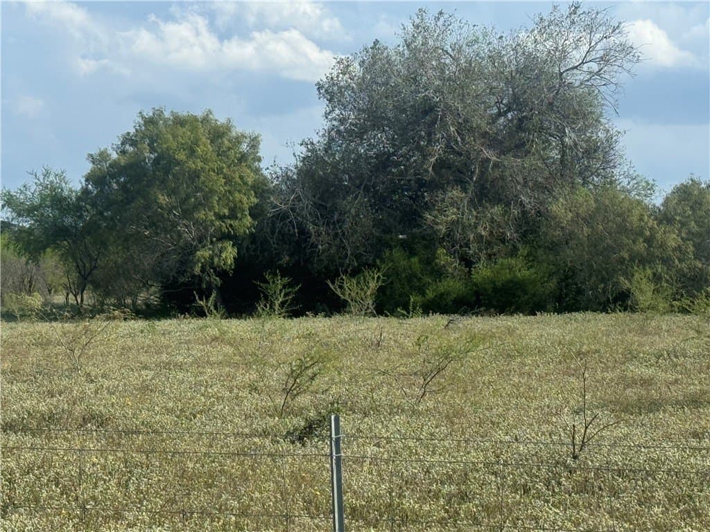 36.73 acres in Bee County - photo 8