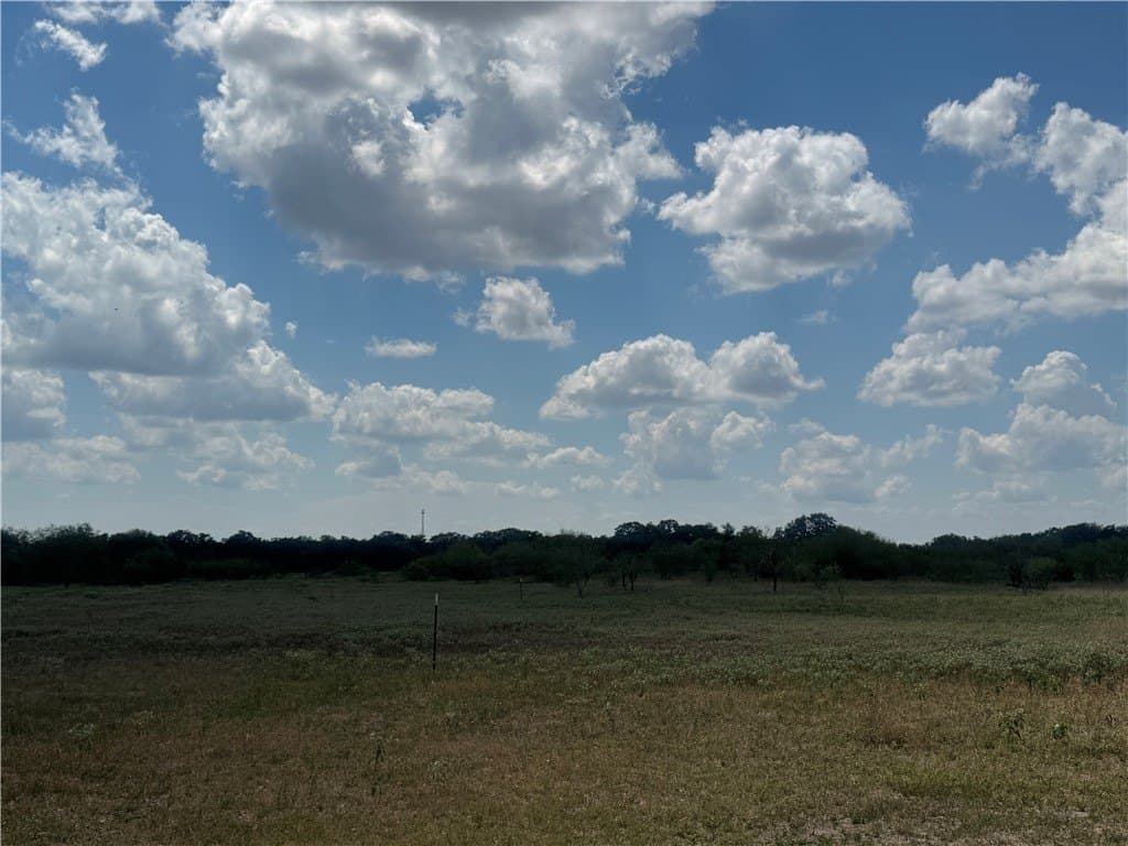 36.73 acres in Bee County - photo 3